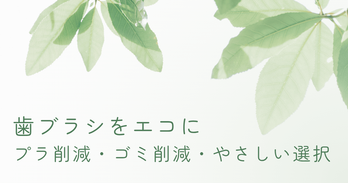 エコ歯ブラシでプラスチック削減を意識したやさしい暮らしのイメージ