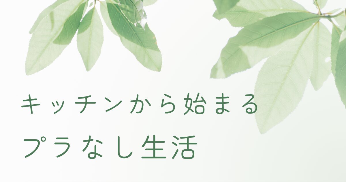 キッチンから始めるプラスチックフリー生活を紹介するナチュラルなアイキャッチ画像