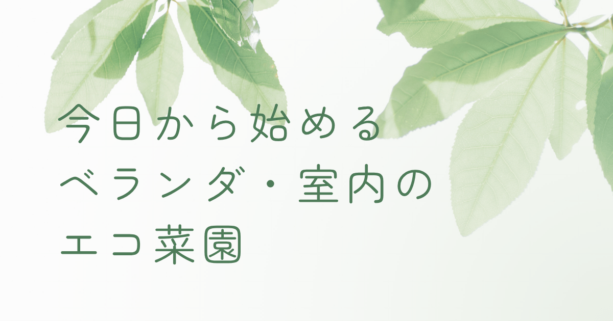 ベランダや室内で始めるエコ菜園のイメージ、やわらかな自然光とグリーンの葉