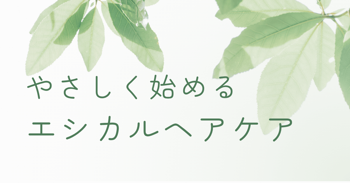 やさしい光と葉に囲まれた、ナチュラルなエシカルヘアケアのイメージ