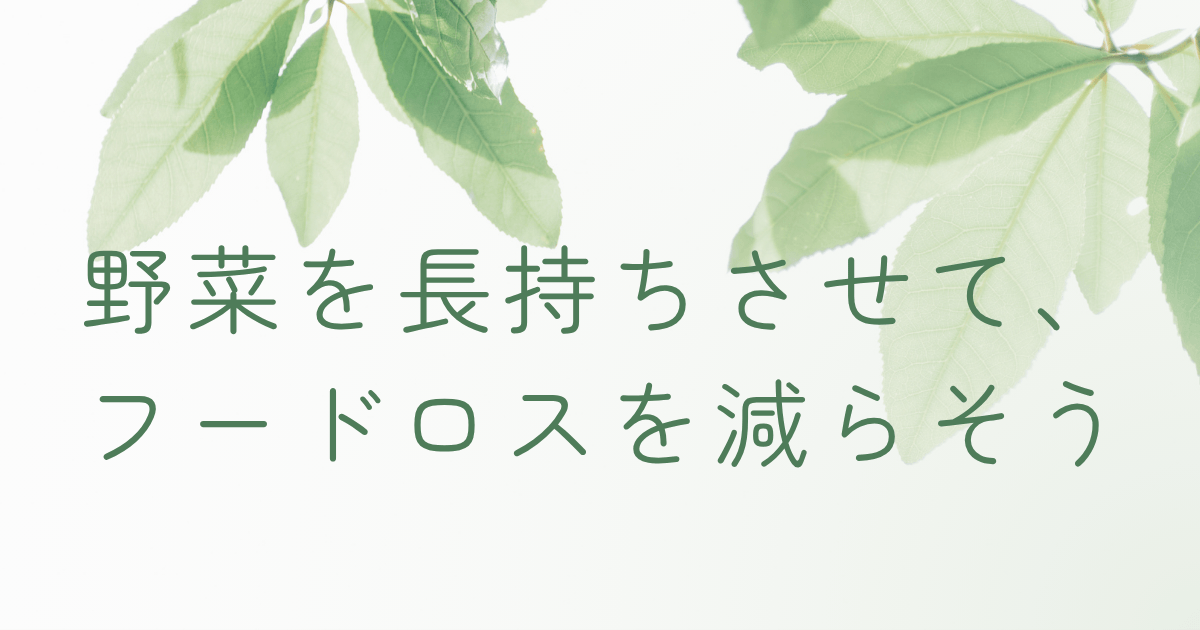 野菜を長持ちさせてフードロスを減らすことをテーマにした記事のアイキャッチ