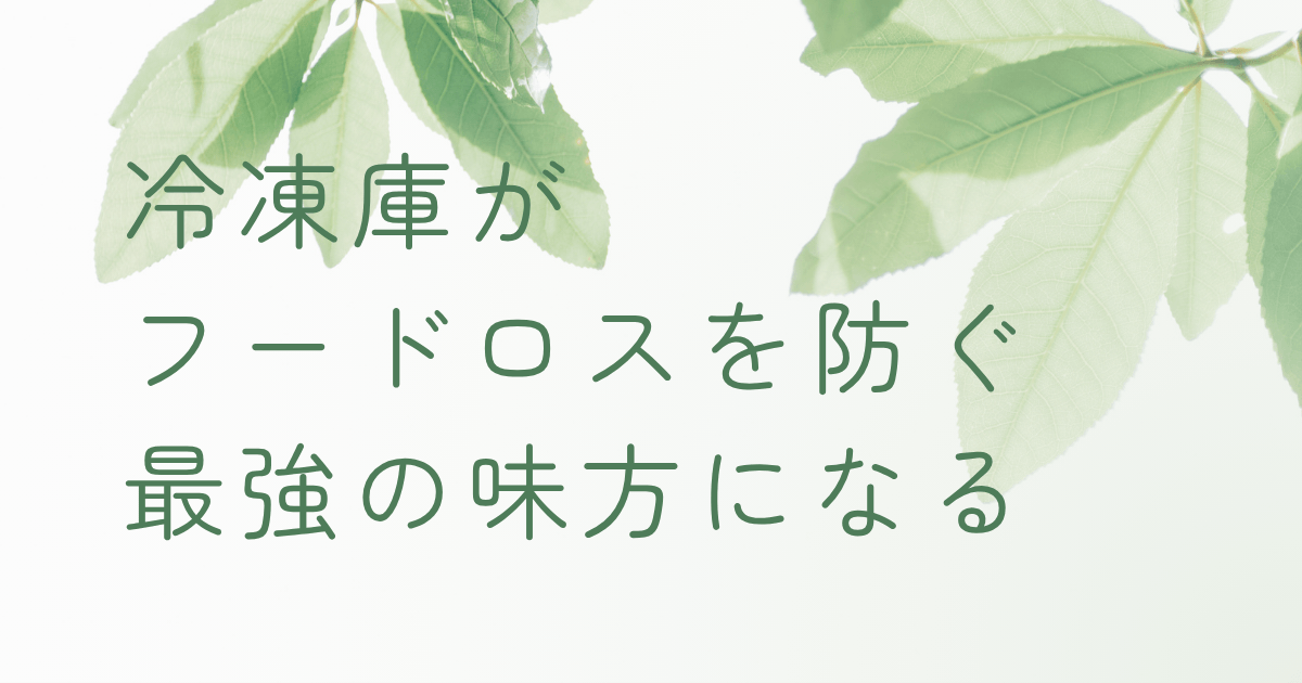 冷凍保存した食材でフードロス削減をイメージしたナチュラルなキッチン風景
